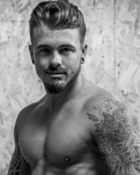 Chippendale Calais